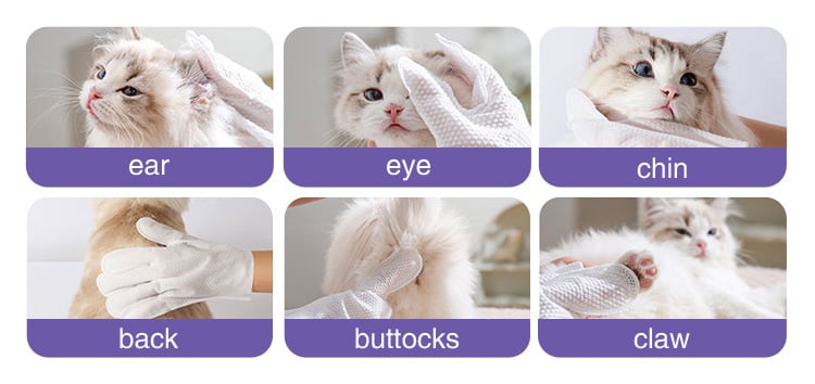 PET GLOVE WIPES